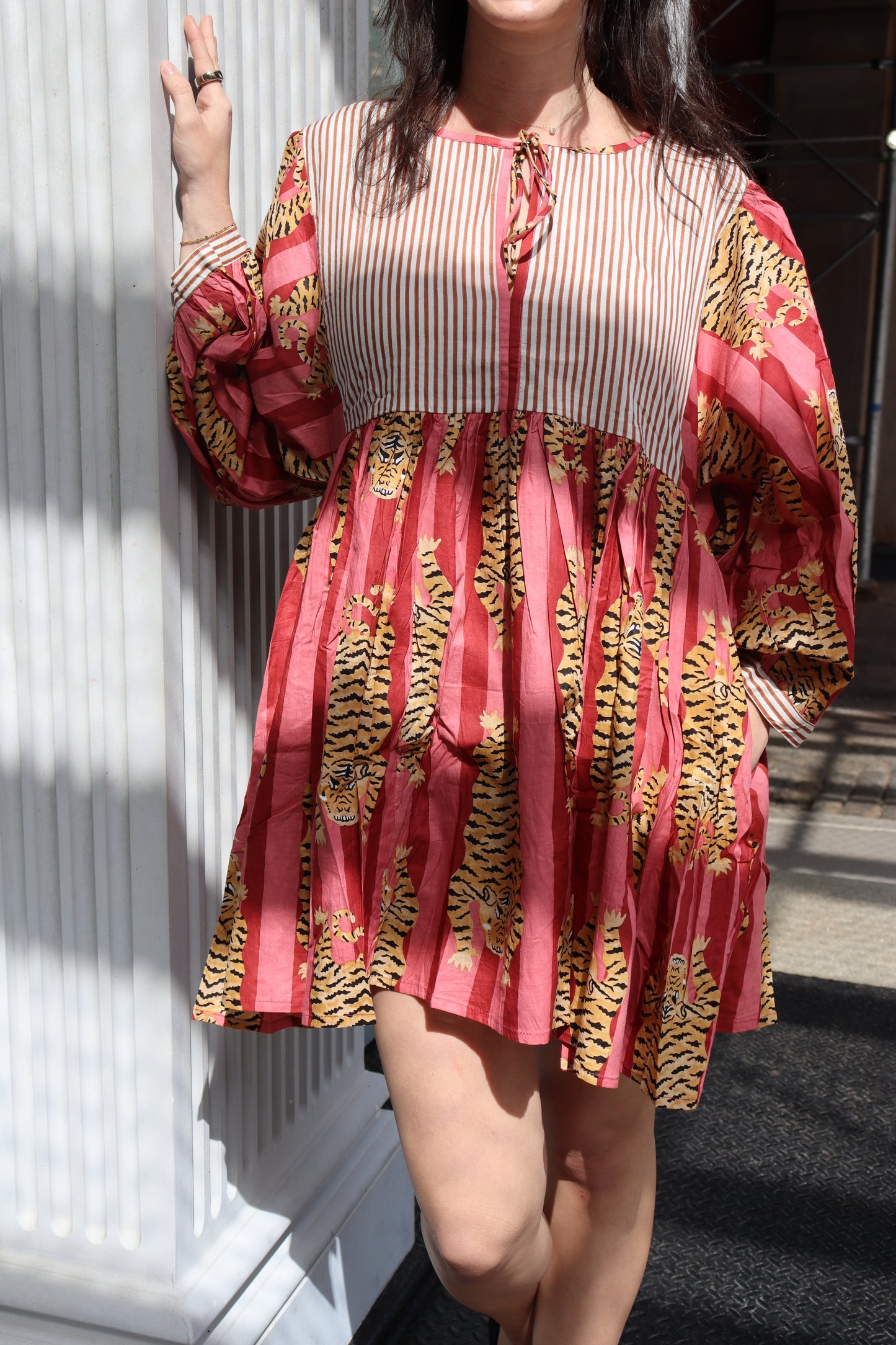 Red, Roar & Roam Mini dress