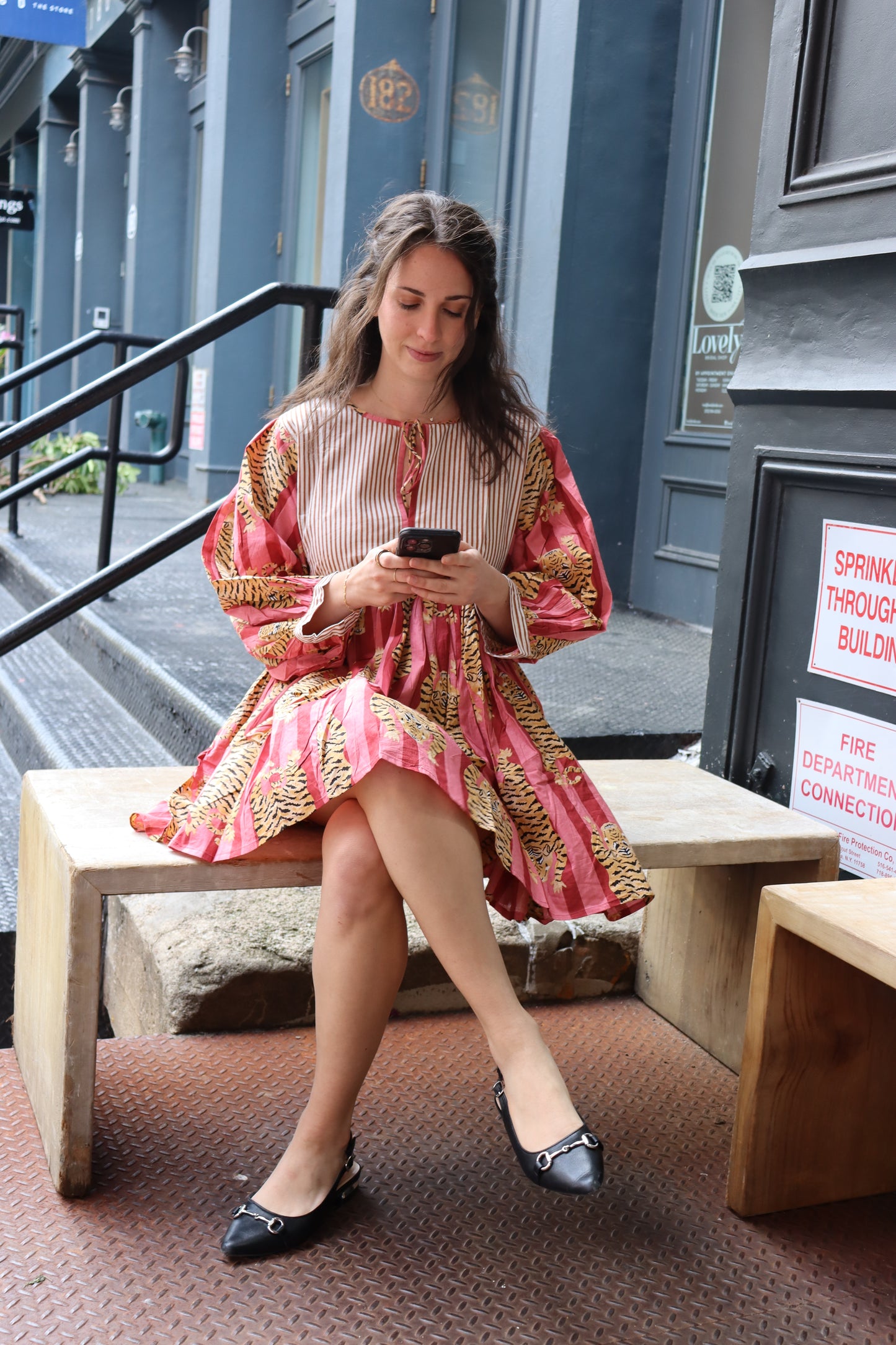 Red, Roar & Roam Mini dress