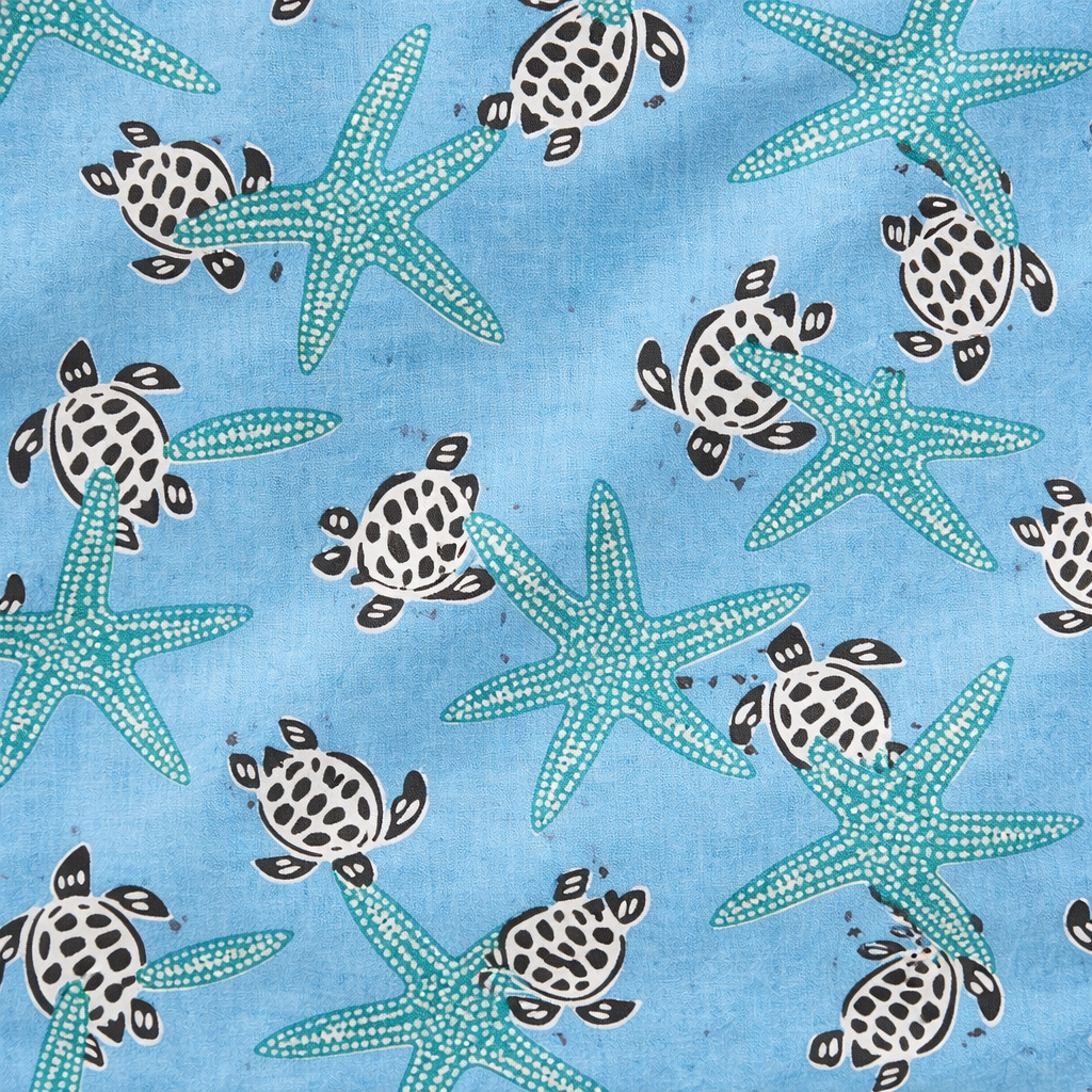 BABY TURTLE