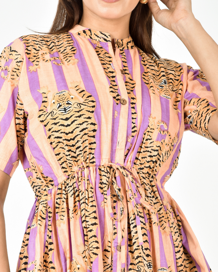 "Tigress on Tour" Midi